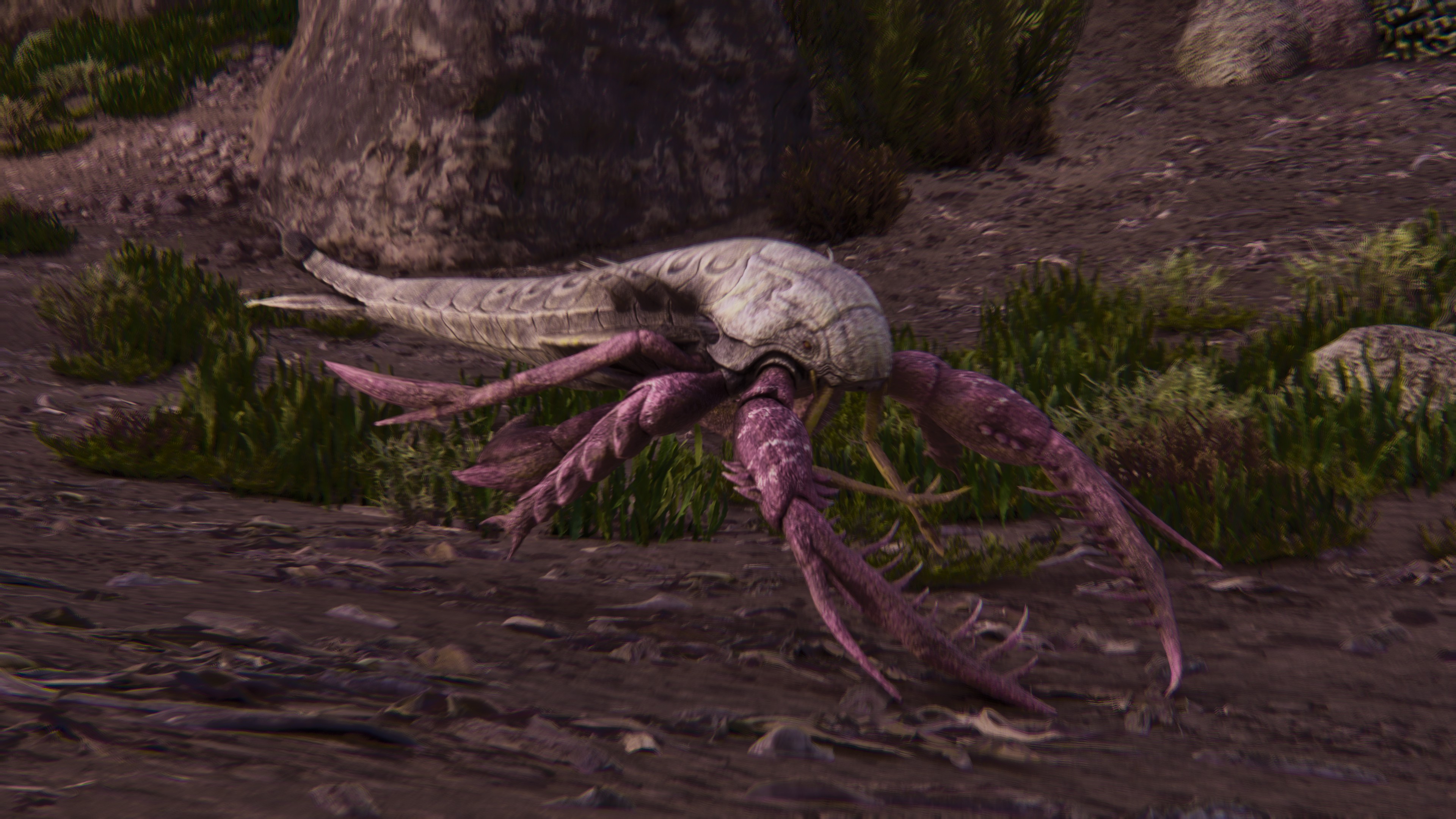 GM-Eurypterid